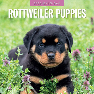 Red Robin Calendario dei cuccioli di rottweiler 2025