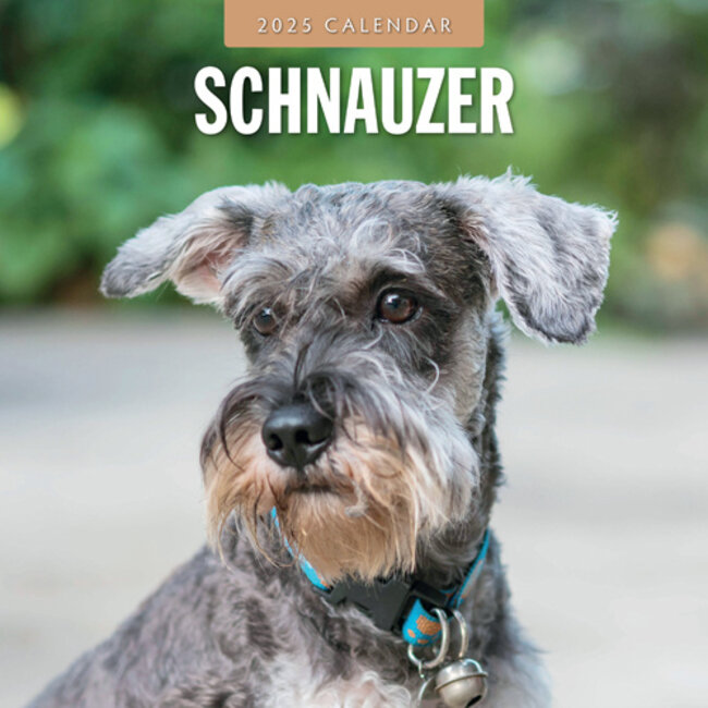 Buying Schnauzer Calendar 2025? Easily and quickly ordered online