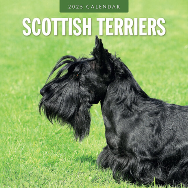 Red Robin Scottish Terrier Kalender 2025