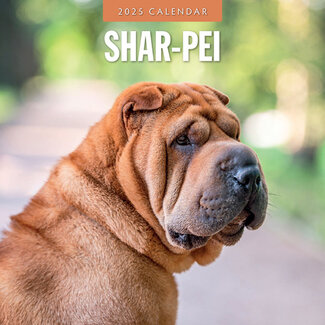 Red Robin Shar Pei Calendar 2025