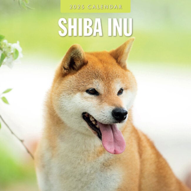 Calendario Shiba Inu 2025 Kalenderwinkel.nl