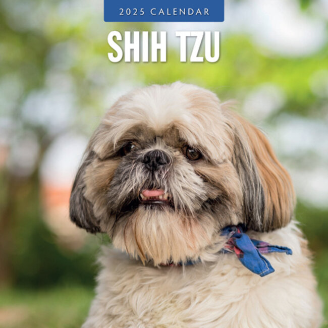 Shih Tzu Calendar 2025