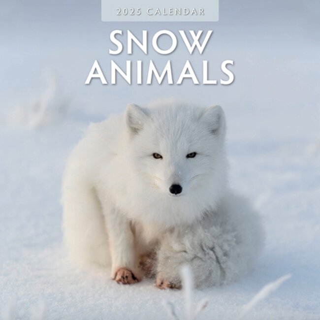 Snow Animals Calendar 2025