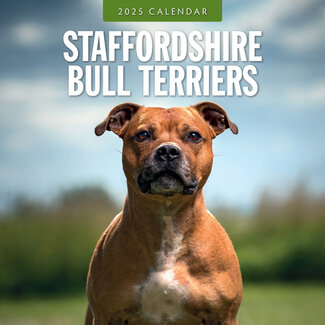 Red Robin Staffordshire Bull Terrier Calendar 2025