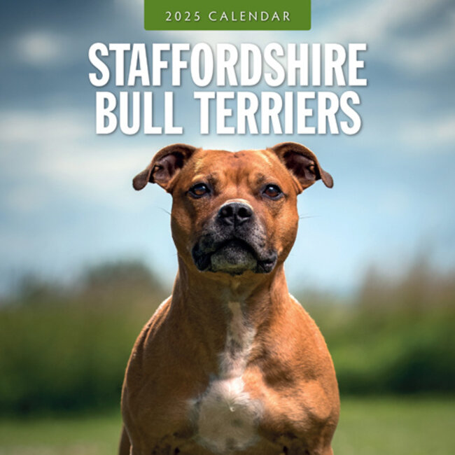 Staffordshire Bull Terrier Calendar 2025