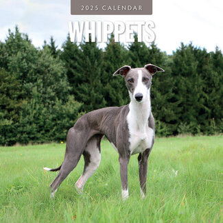 Red Robin Whippet Calendar 2025