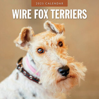 Red Robin Fox Terrier Ruwhaar Kalender 2025