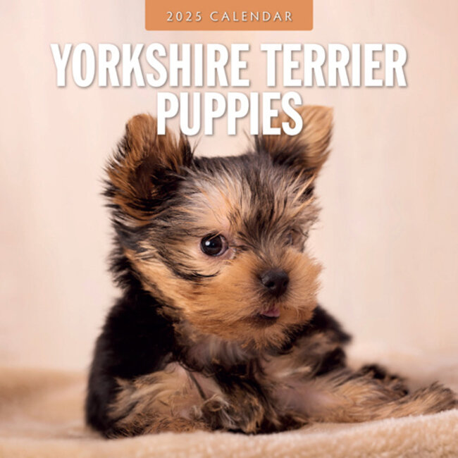 Red Robin Yorkshire Terrier Cachorros Calendario 2025