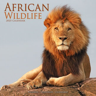 Avonside African Wildlife Kalender 2025