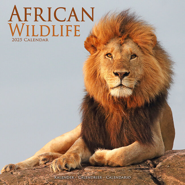 Avonside Calendario de la fauna africana 2025