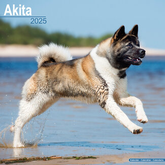 Avonside Calendrier Akita 2025