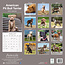 Calendario American Pit Bull Terrier 2025