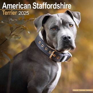 Avonside American Staffordshire Terrier Calendar 2025