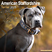Avonside American Staffordshire Terrier Calendario 2025