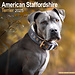 Avonside Calendario American Staffordshire Terrier 2025