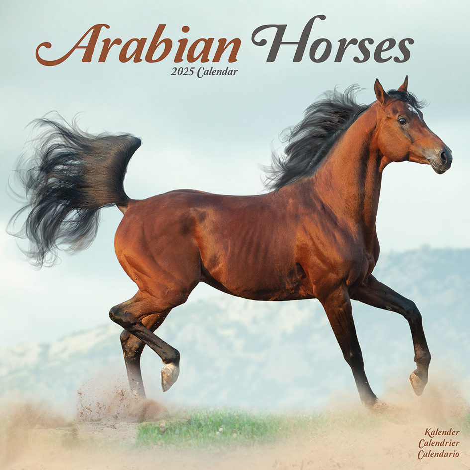 Buy Arabian Calendar 2025? Simply order online Kalenderwinkel.nl