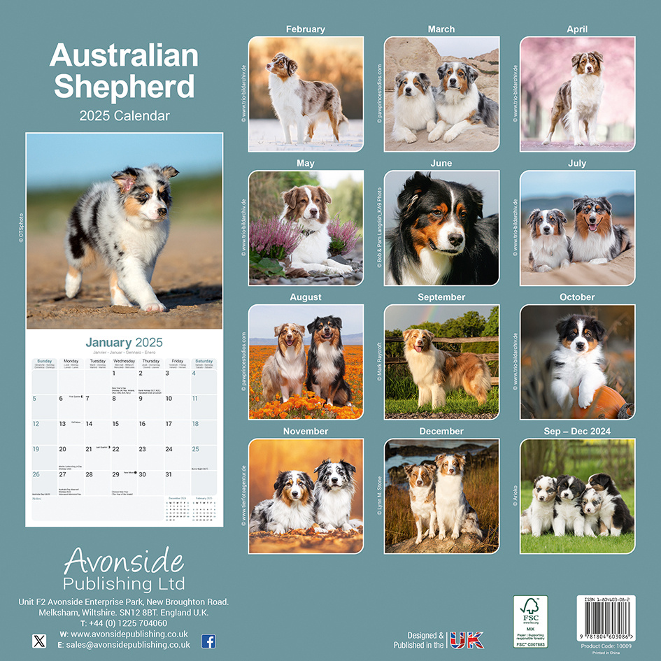 Australian Shepherd Kalender 2025 Bestel eenvoudig online