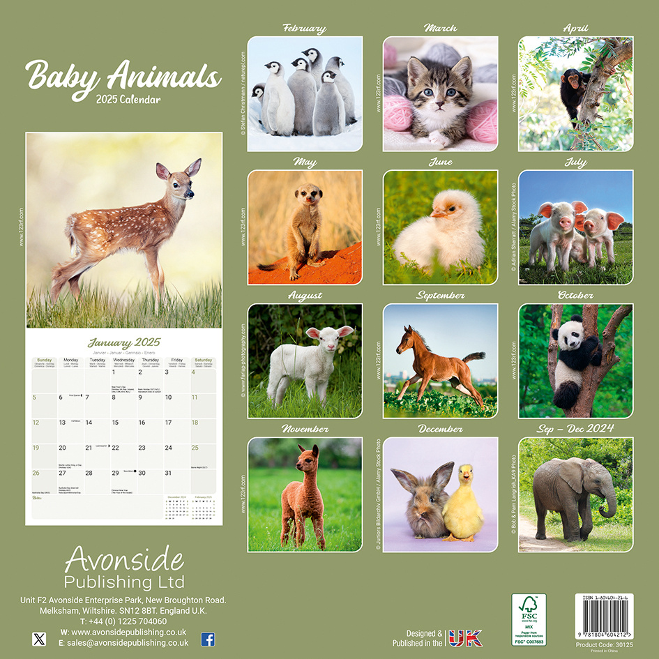 Baby Animals Kalender 2025 Kopen? Bestel eenvoudig online