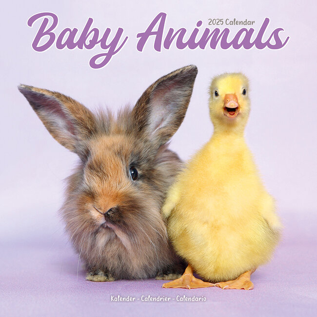 Avonside Baby Animals Calendar 2025