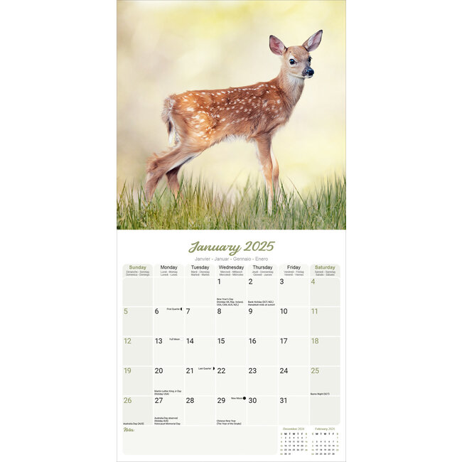 Baby Animals Kalender 2025 Kopen? Bestel eenvoudig online