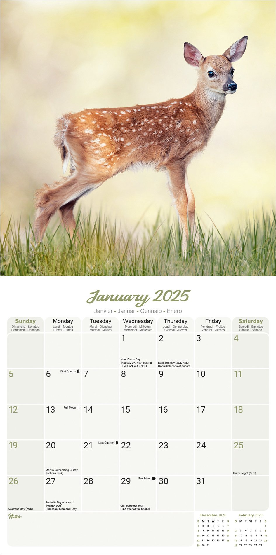 Baby Animals Kalender 2025 Kopen? Bestel eenvoudig online