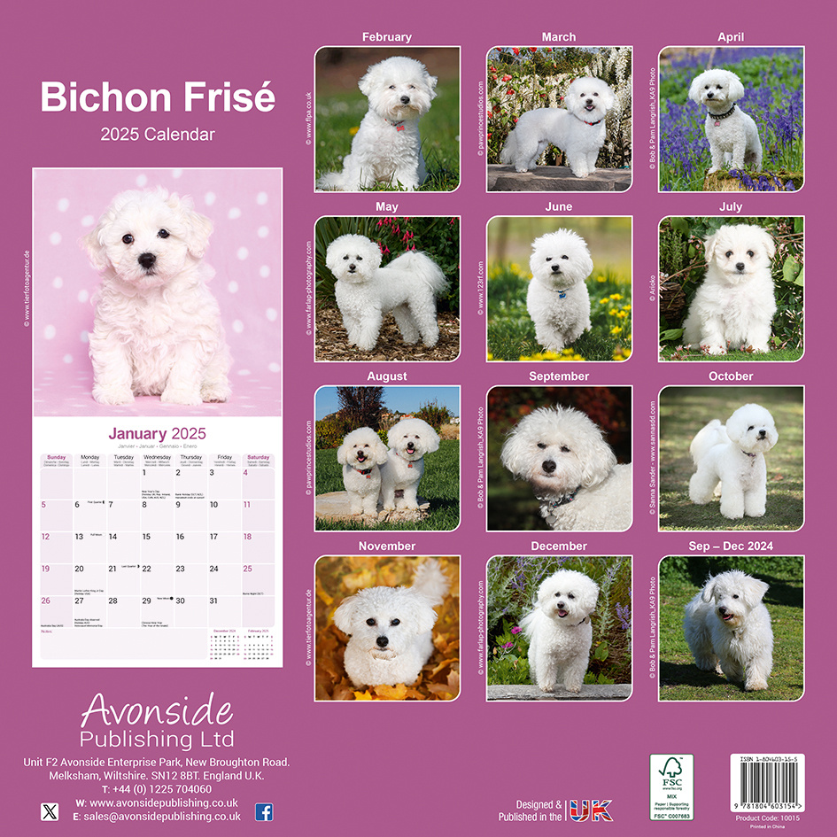 Bichon Frise Kalender 2025 Kopen? Bestel eenvoudig online