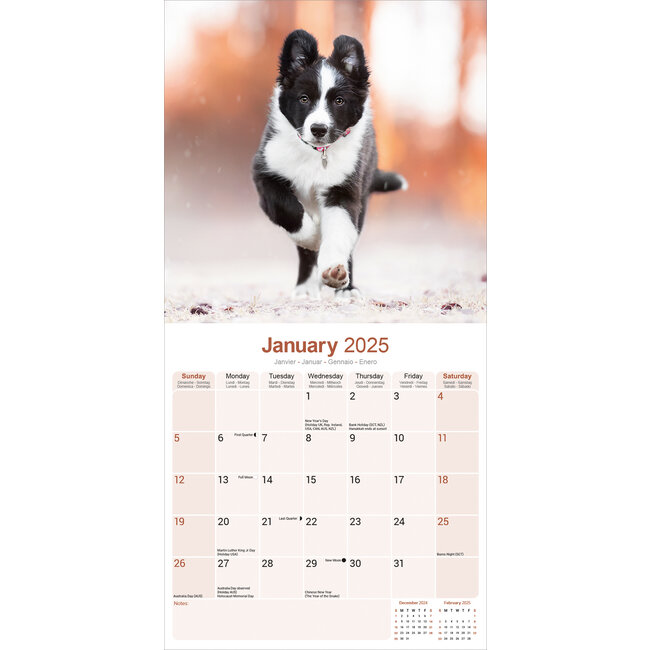 Calendrier De L’Avent Border Collie 2025 – 24 Décorations Acrylique 2D – Compte à Rebours Noël Pour Enfants Et Amoureux Des Chiens - 4