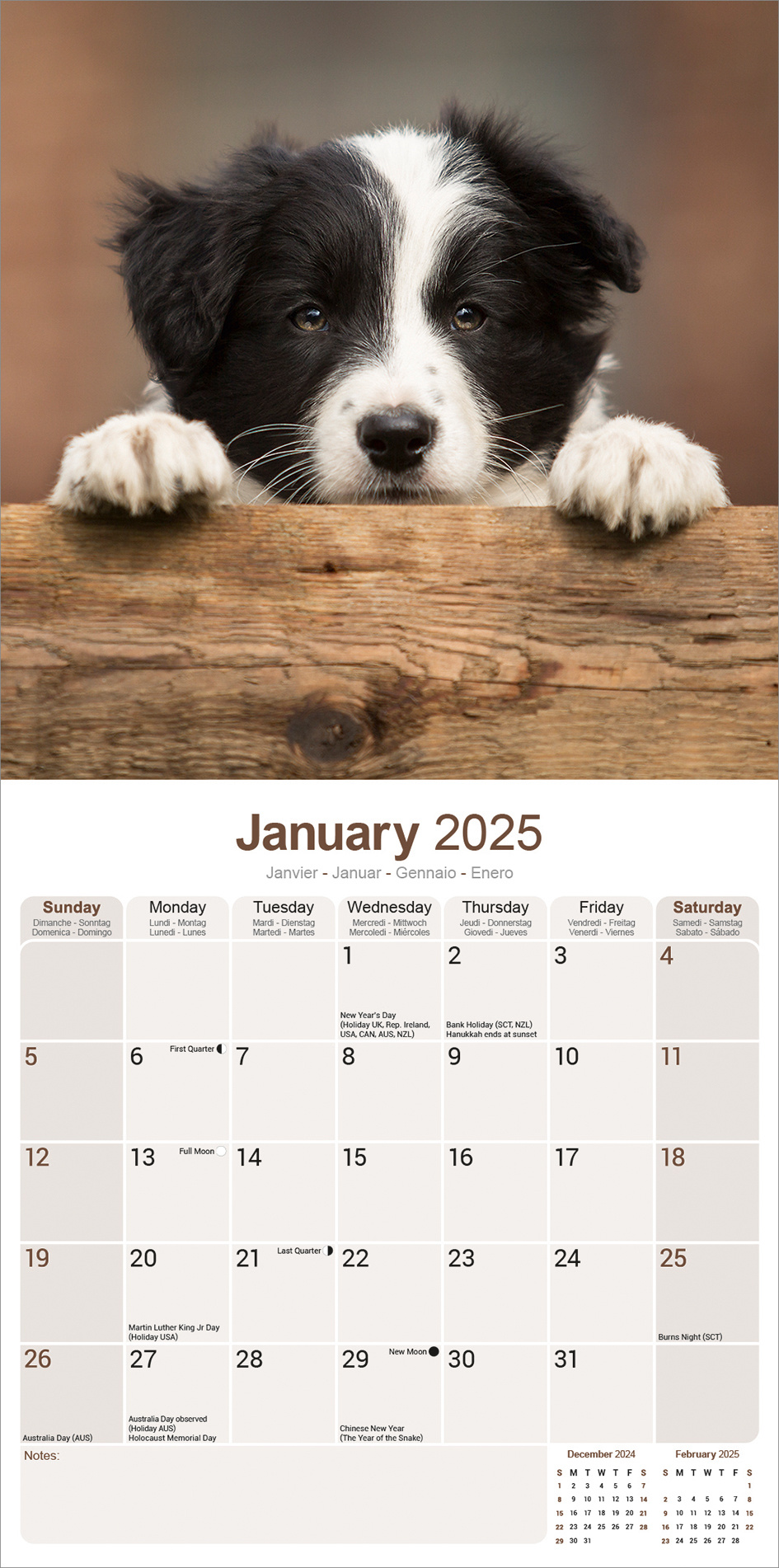 Border Collie Kalender Puppies 2025 Kopen? Bestel eenvoudig online