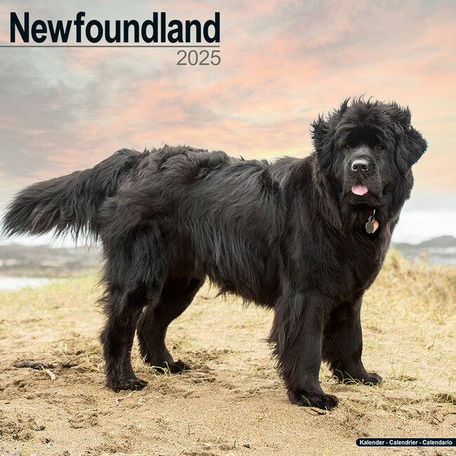 Avonside Newfoundland Calendar 2025