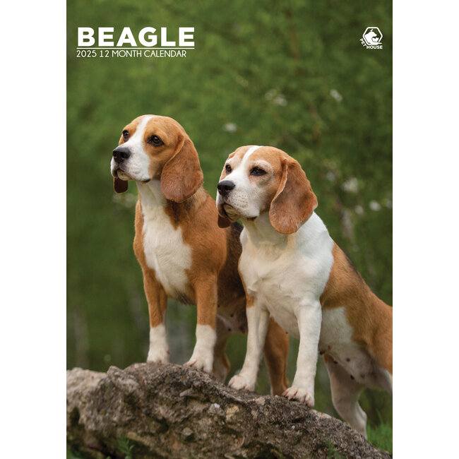 Calendrier Beagle A3 2025