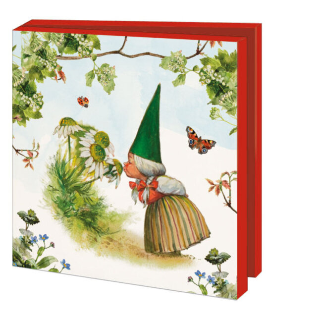 Folder Square: Gnome, Rien Poortvliet 10 pcs.