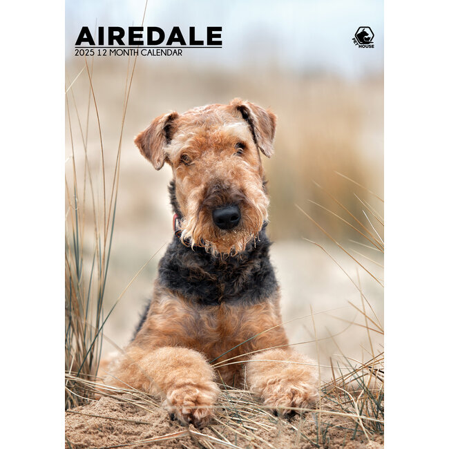 Airedale Terrier A3 Calendar 2025