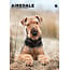 CalendarsRUs Airedale Terrier A3 Calendar 2025