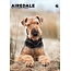 CalendarsRUs Airedale Terrier A3 Kalender 2025