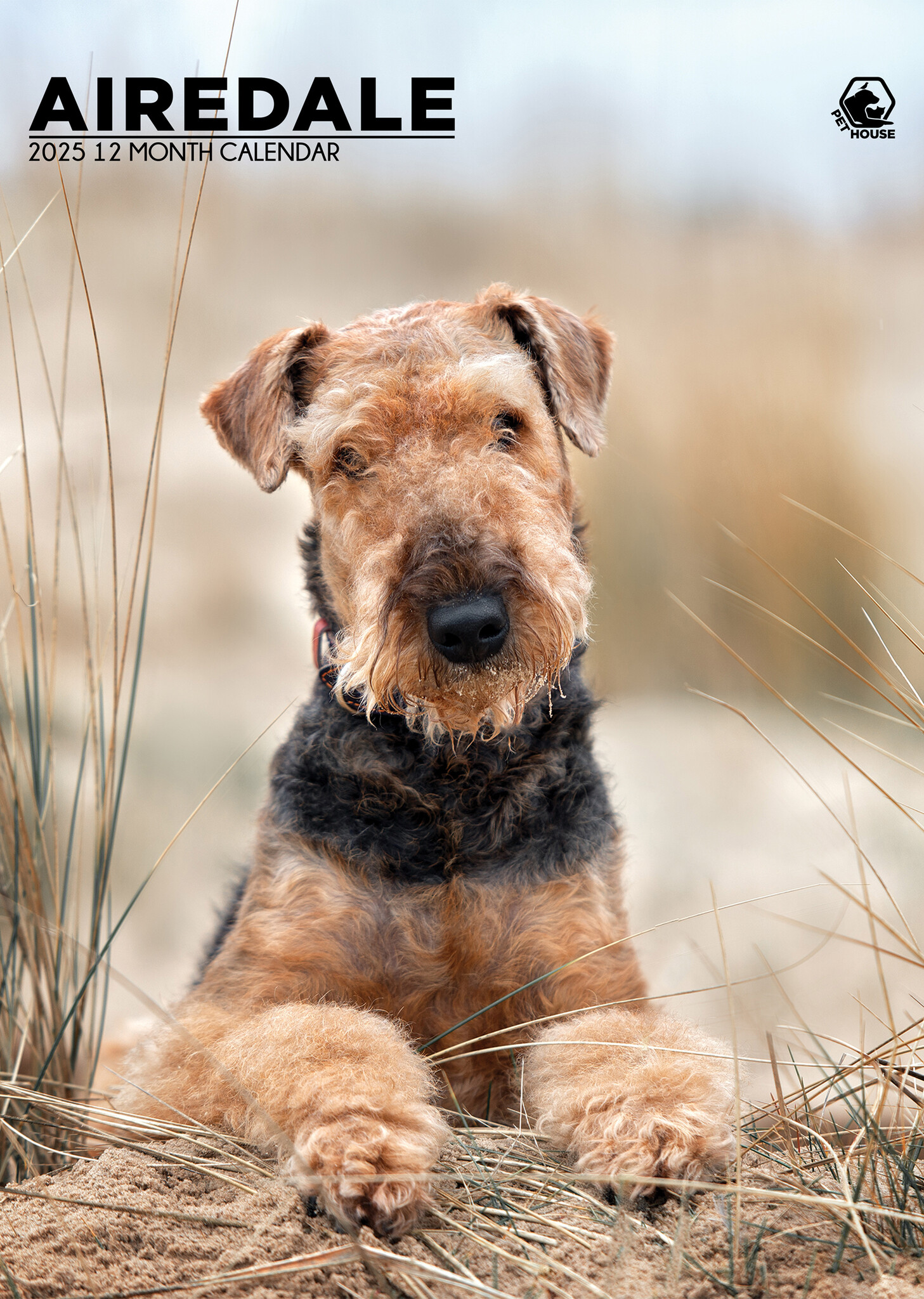 Airedale Terrier A3 Kalender 2025