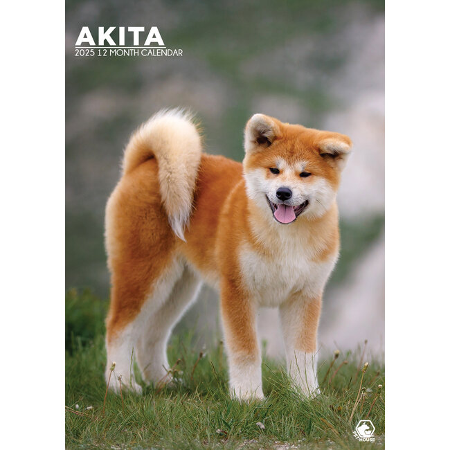 Akita A3 Calendar 2025