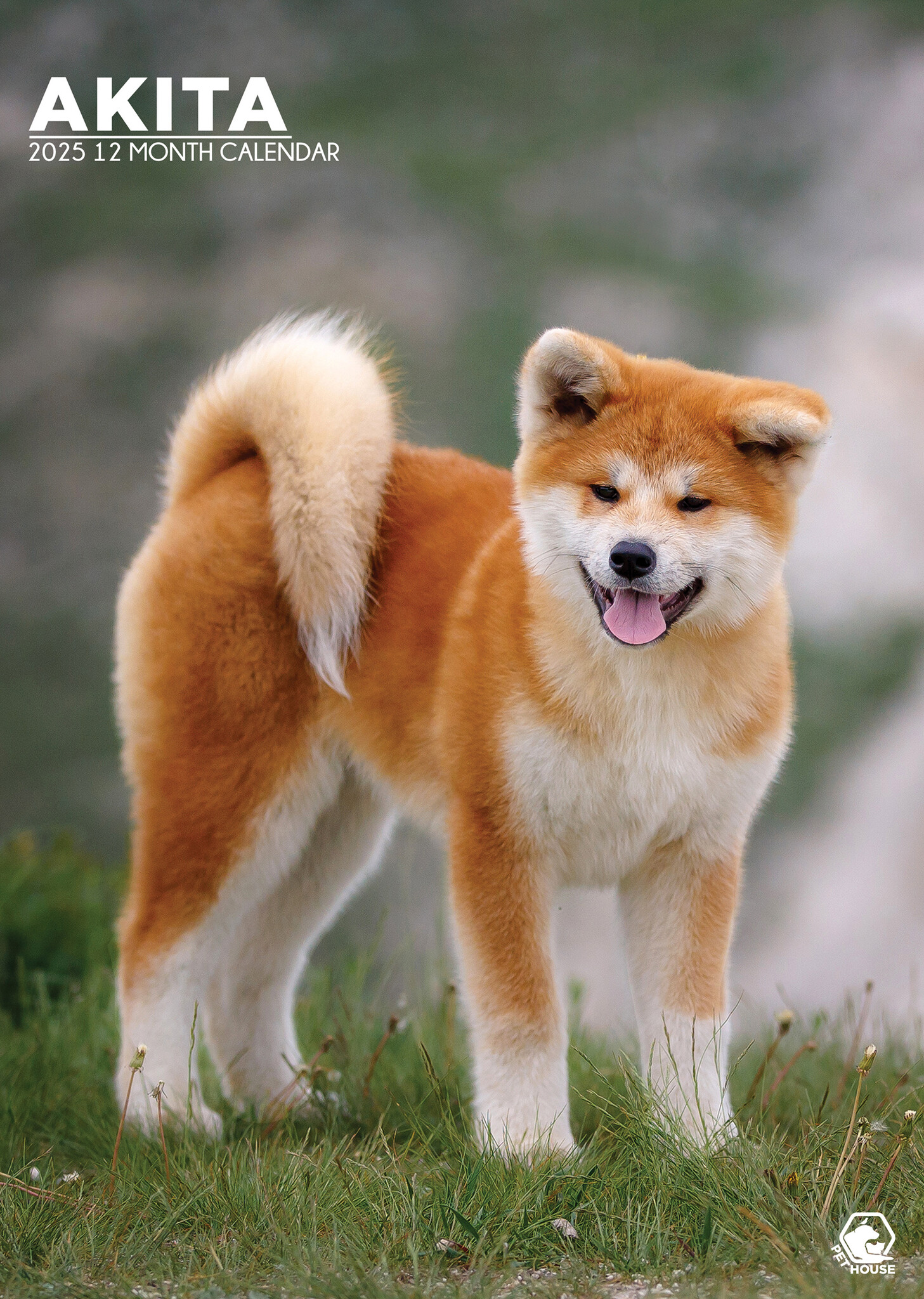 Buying Akita A3 Calendar 2025? Order easily and quickly Kalenderwinkel.nl