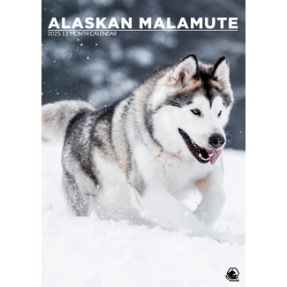 CalendarsRUs Alaskan Malamute Calendario A3 2025
