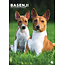 CalendarsRUs Basenji A3 Kalender 2025