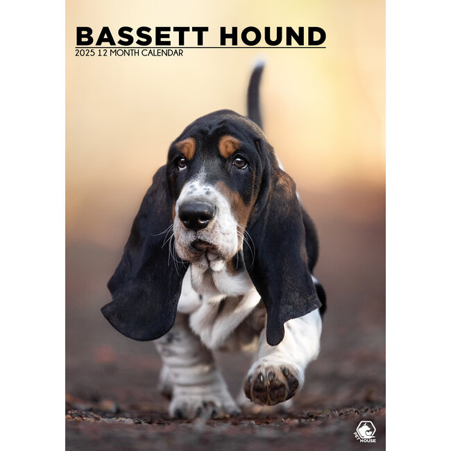 Calendario A3 Basset Hound 2025