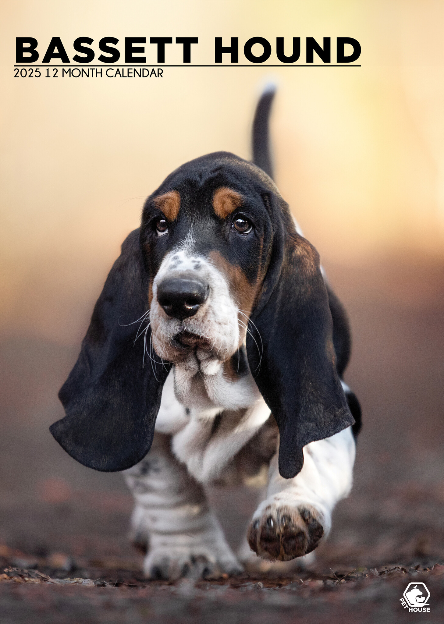 Basset Hound A3 Kalender 2025