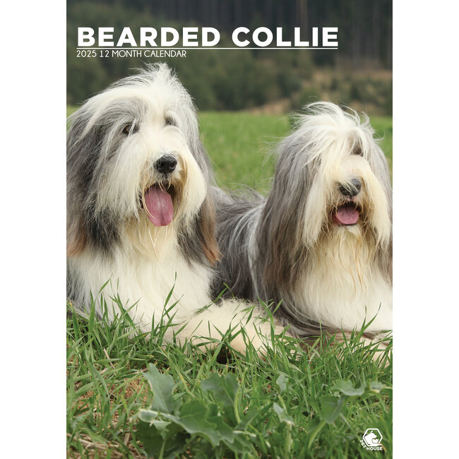 Bearded Collie A3 Calendar 2025