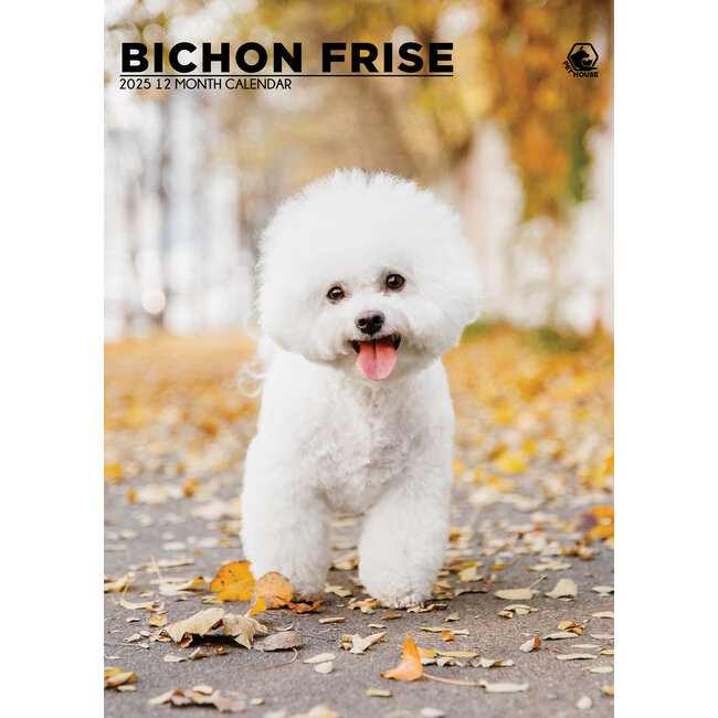 Bichon Frise Calendario A3 2025