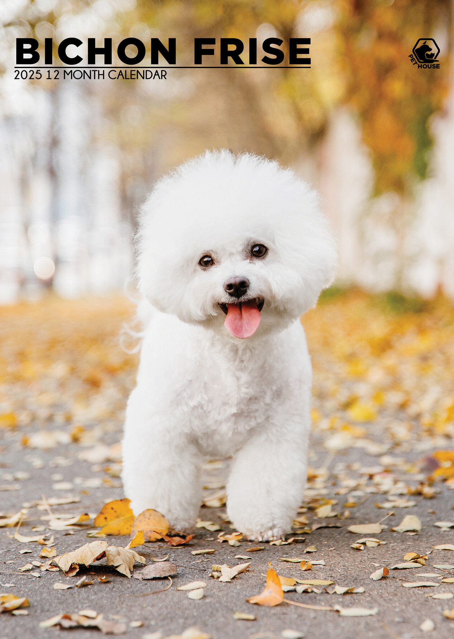 Bichon Frise A3 Kalender 2025