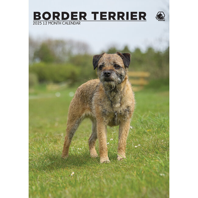 Border Terrier Calendario A3 2025