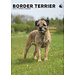 CalendarsRUs Border Terrier Calendario A3 2025
