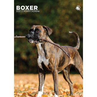 CalendarsRUs Boxer A3 Calendar 2025