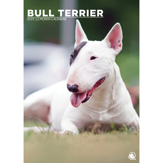 Bull Terrier A3 Calendar 2025