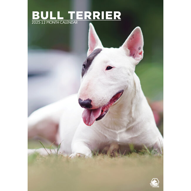 Bull Terrier A3 Kalender 2025