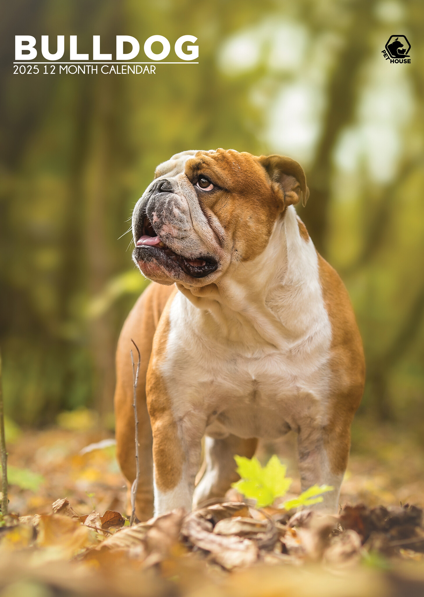 Engelse Bulldog A3 Kalender 2025 Kopen? Bestel eenvoudig en snel